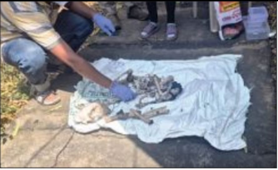 ଚିତାବାଘ ର ନଖ ଜବତ ତିନି ଯୁବକ ଗିରଫ ଓ କୋର୍ଟ ଚାଲାଣ