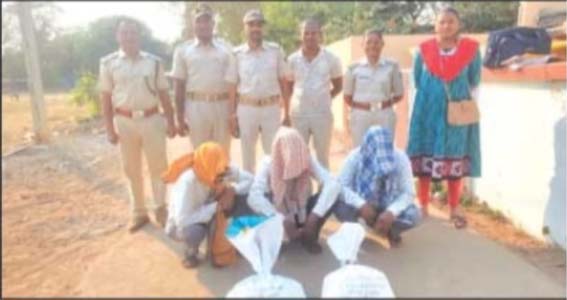 ଧର୍ମଗଡ ଅବକାରୀ ବିଭାଗ ତରଫରୁ ଗଞ୍ଜେଇ ଜବତ:ସମ୍ପୃକ୍ତ ୩ ଜଣକୁ ଗିରଫ କରି କଲା କୋର୍ଟ ଚାଲାଣ