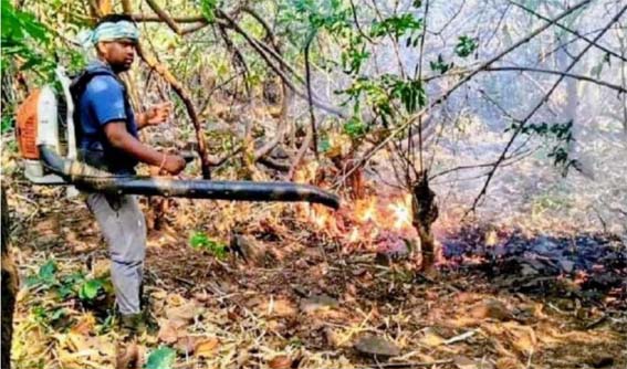 ସଂରକ୍ଷିତ ଜଙ୍ଗଲରେ ଲାଗୁଛି ନିଆଁ,ନଷ୍ଟ ହେଉଛି ମୂଲ୍ୟବାନ ଗଛ