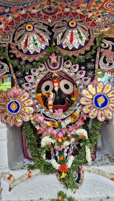 ଭୁବନେଶ୍ୱରରେ ପତିତପାବନଙ୍କର ହାତୀ ବେଶ