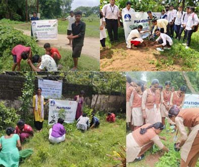 ପିକକ୍ ଦ୍ବାର ଖୋର୍ଦ୍ଧାରେ ୨,୦୦୦ ଚାରାରୋପଣ।