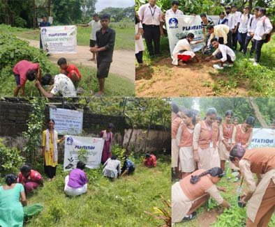 ପିକକ୍ ଦ୍ବାର ଖୋର୍ଦ୍ଧାରେ ୨,୦୦୦ ଚାରାରୋପଣ।